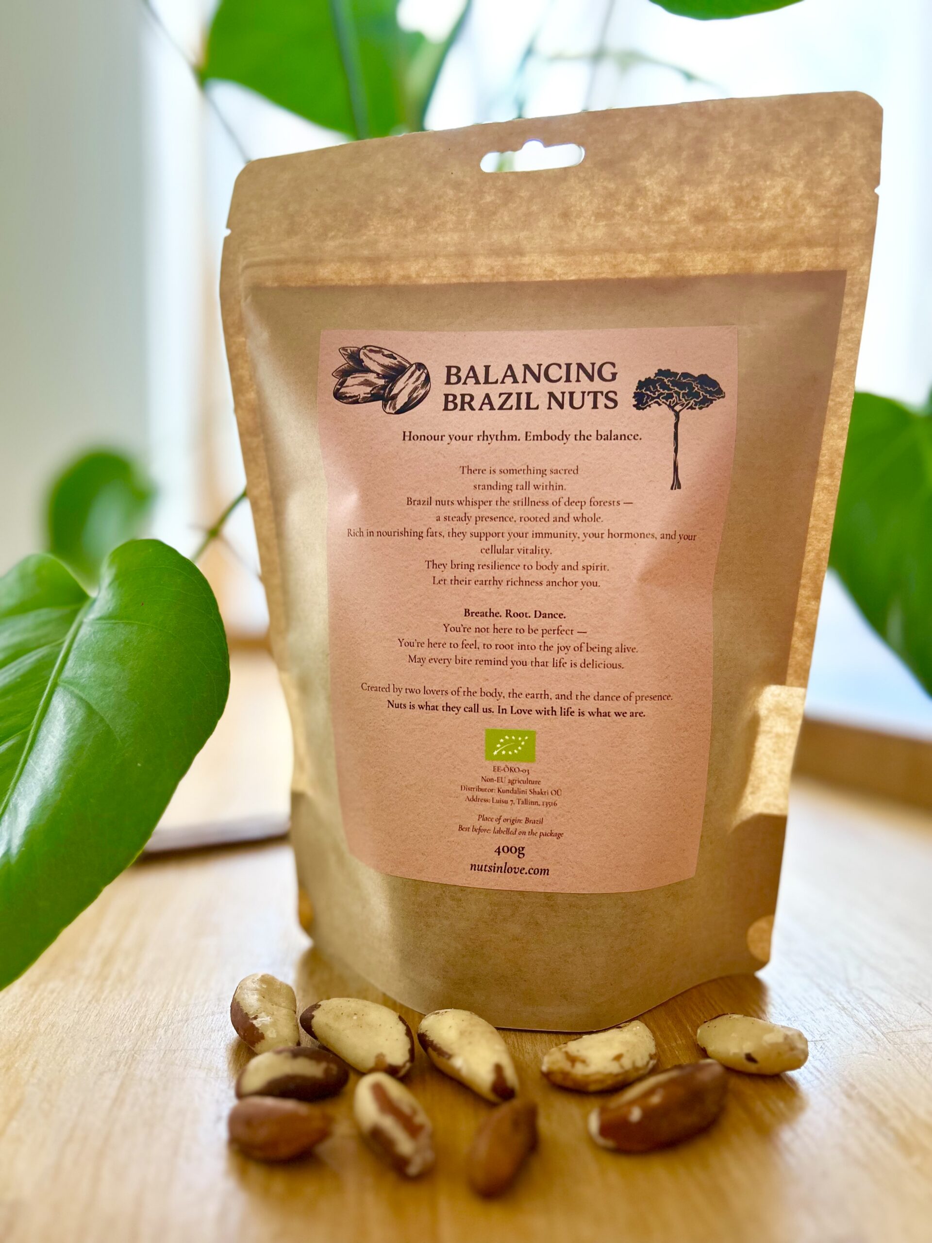 Balancing Brazil Nuts - Image 2
