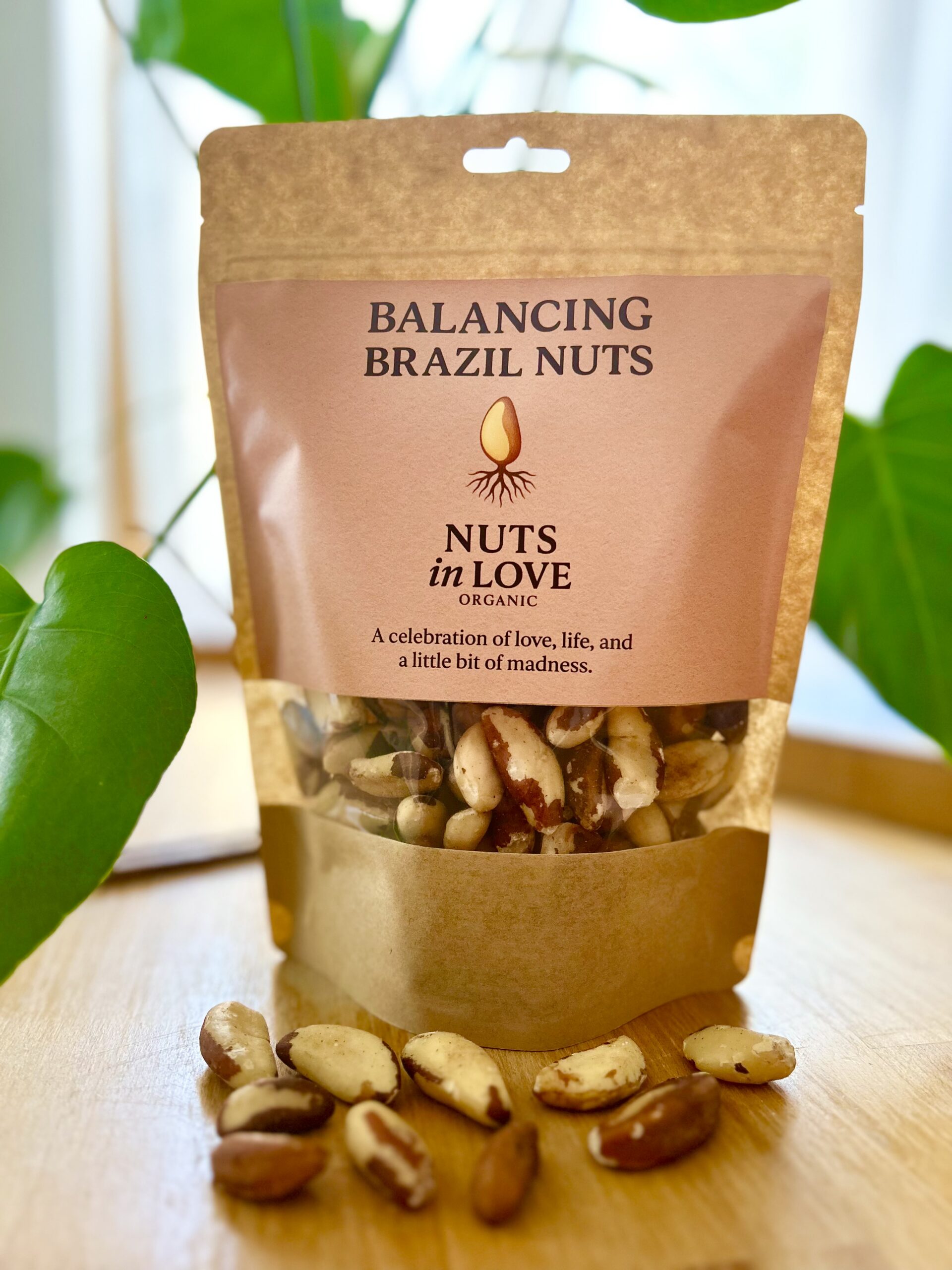 Balancing Brazil Nuts